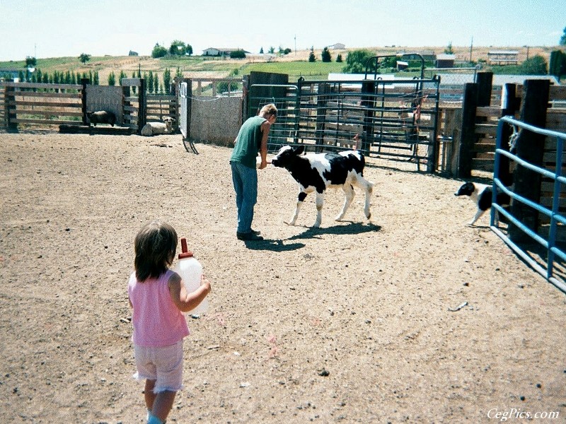 Ceg Ranch - Field of Dreams Area