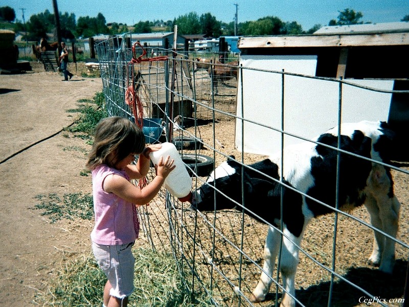 Ceg Ranch - Field of Dreams Area