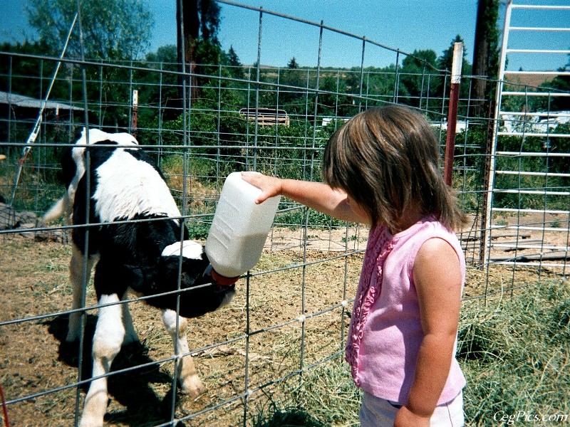 Ceg Ranch - Field of Dreams Area