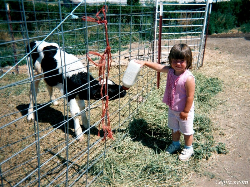 Ceg Ranch - Field of Dreams Area