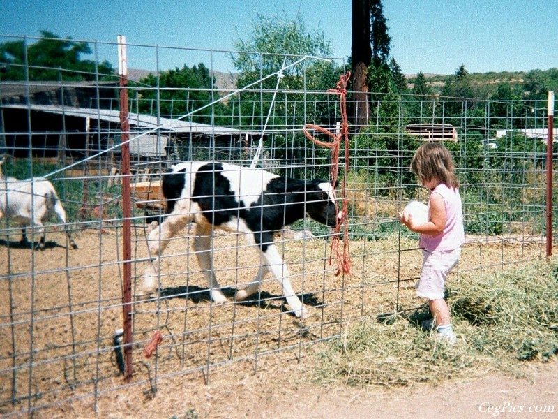 Ceg Ranch - Field of Dreams Area