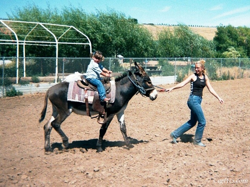 Ceg Ranch - Field of Dreams Area