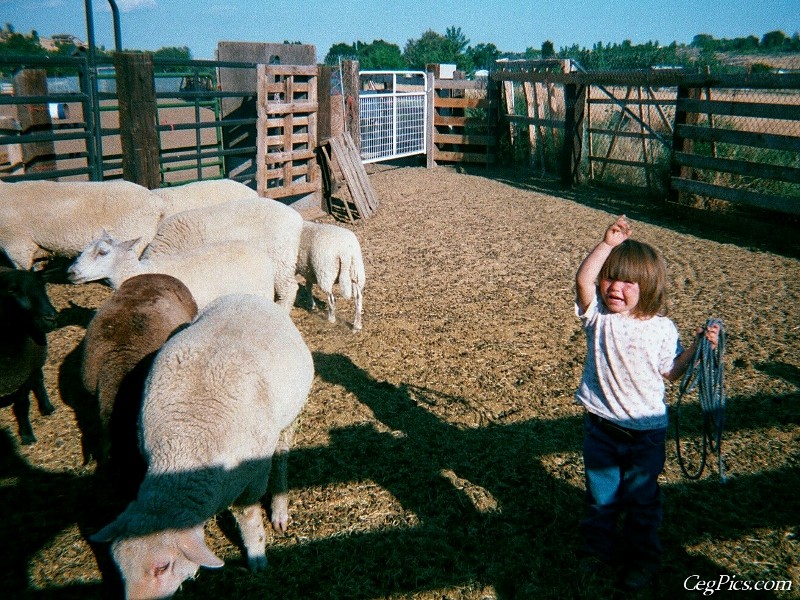 Ceg Ranch - Field of Dreams Area