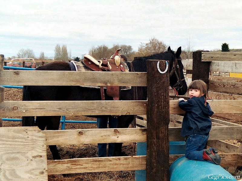 Ceg Ranch