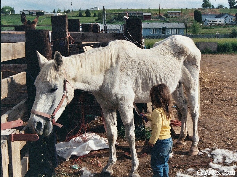 Ceg Ranch