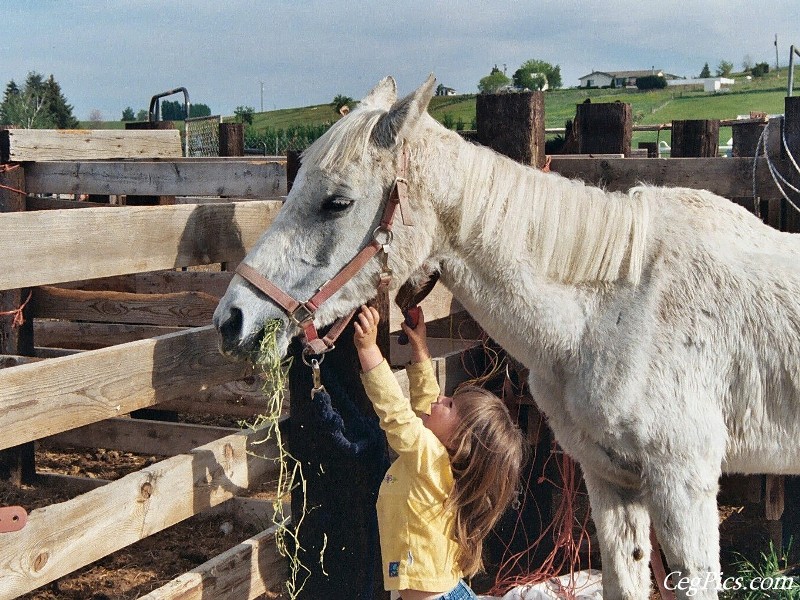 Ceg Ranch