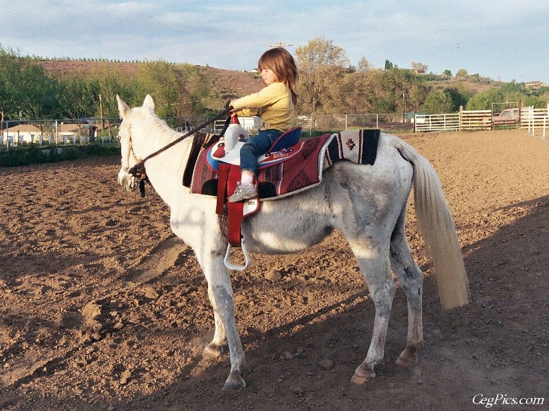 Ceg Ranch