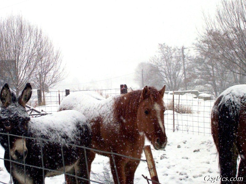 Ceg Ranch