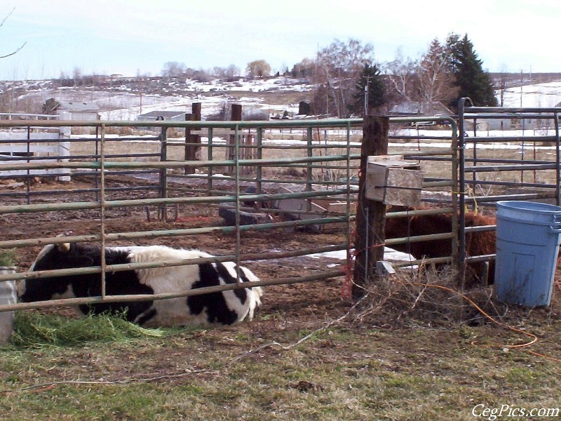 Ceg Ranch