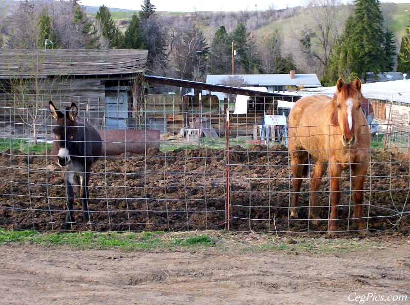 Ceg Ranch