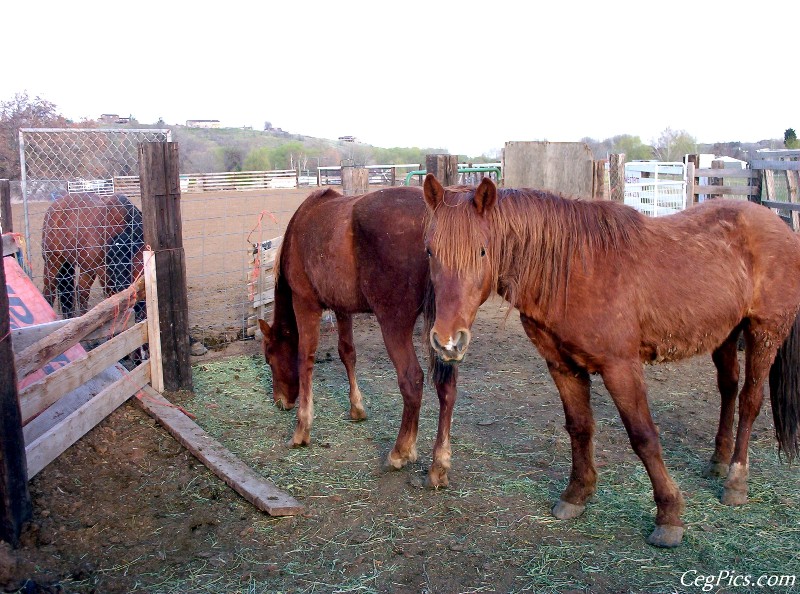 Ceg Ranch