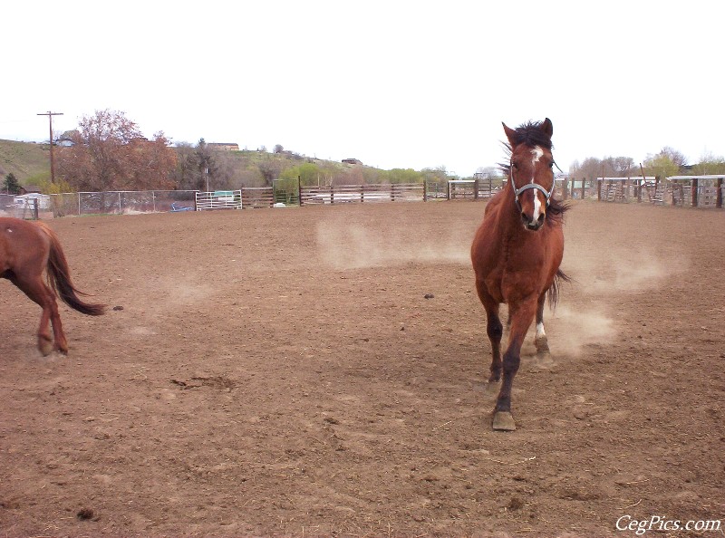 Ceg Ranch