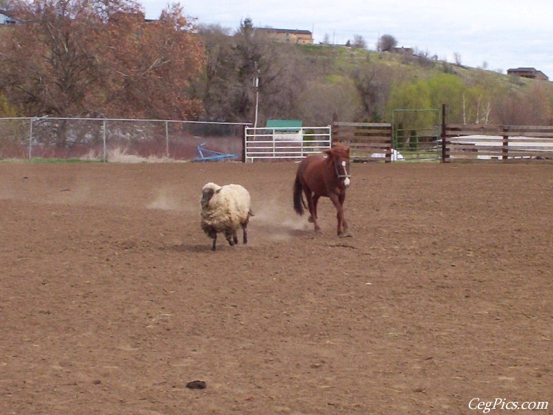 Ceg Ranch