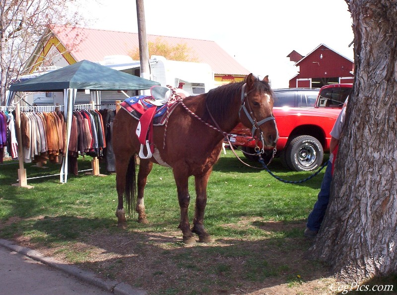 Ceg Ranch