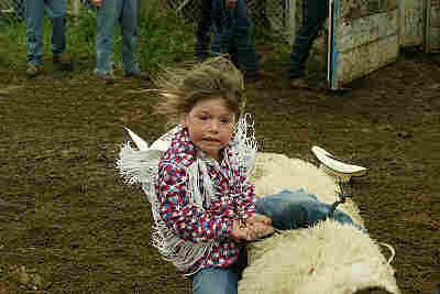 Wiley City Rodeo