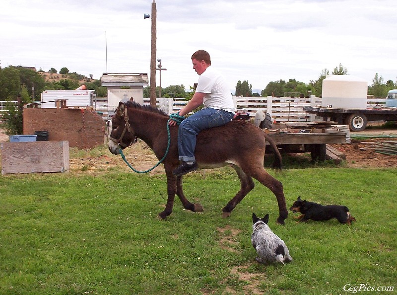 Ceg Ranch