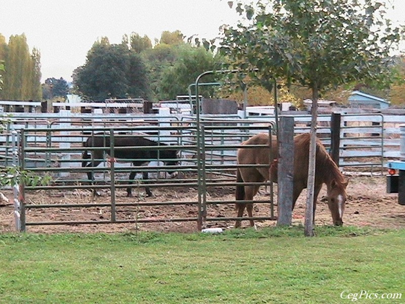 Ceg Ranch