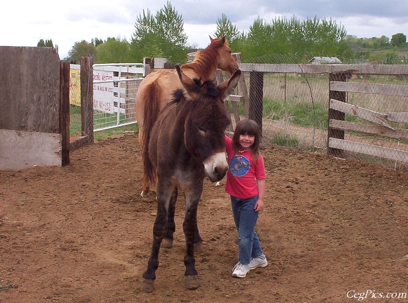 Ceg Ranch