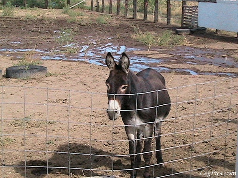 Ceg Ranch