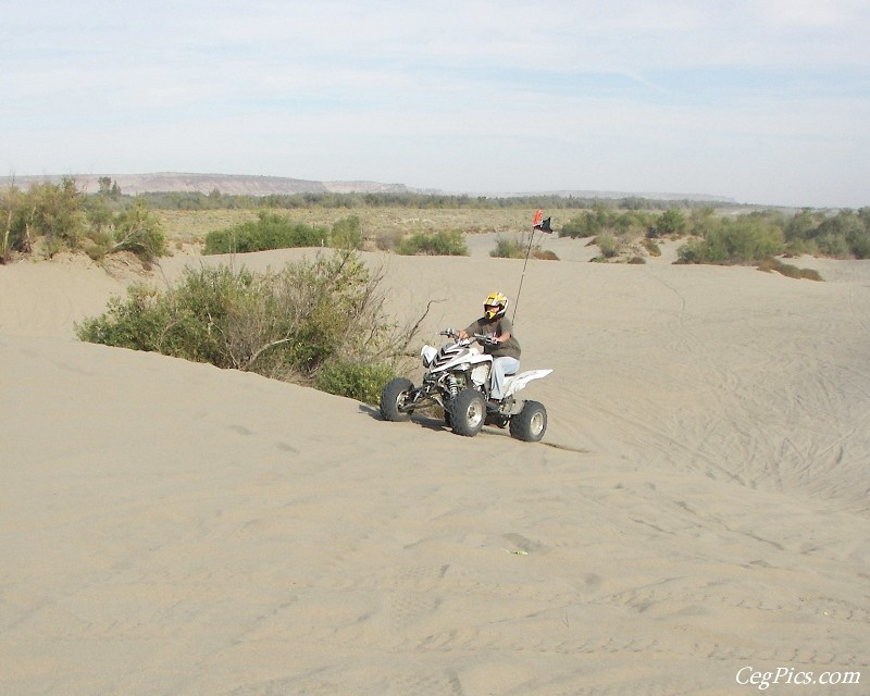 Beverly Dunes