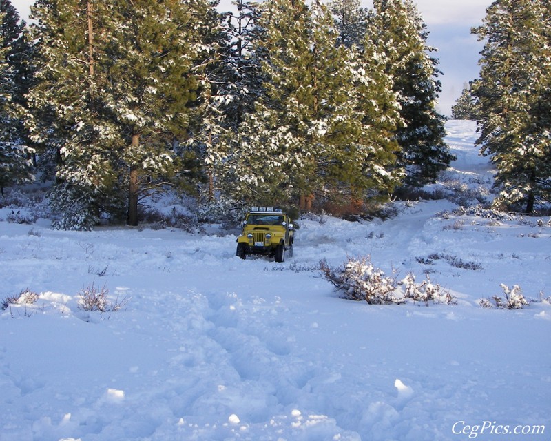 Ahtanum State Forest