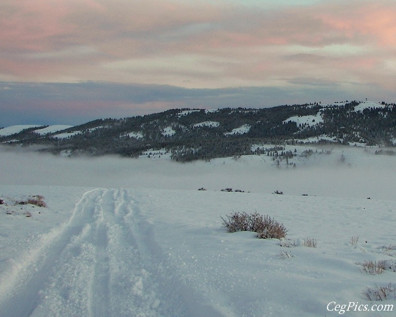 Ahtanum State Forest