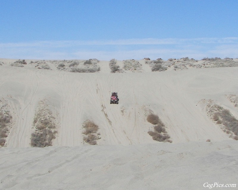 Juniper Dunes