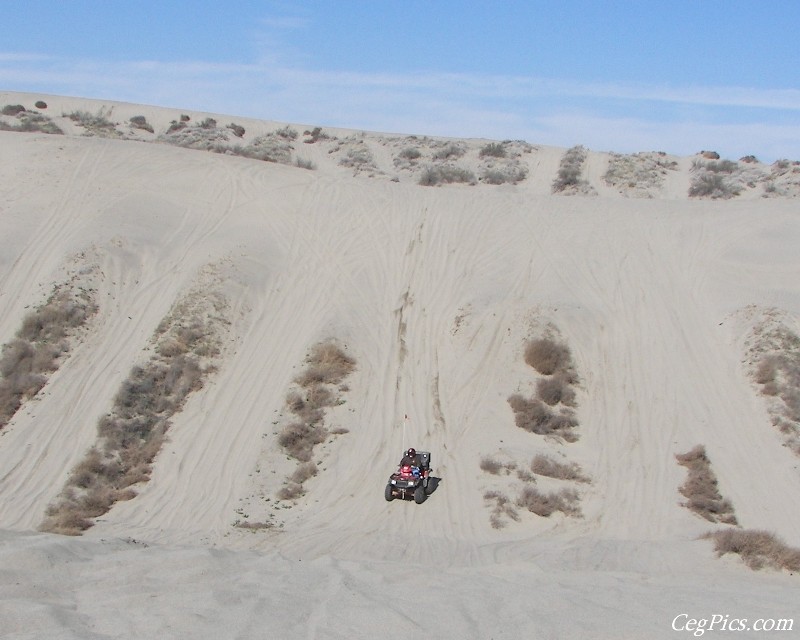 Juniper Dunes