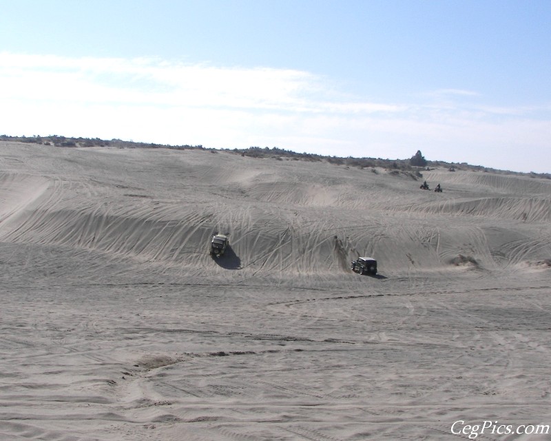 Juniper Dunes