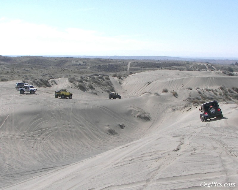 Juniper Dunes