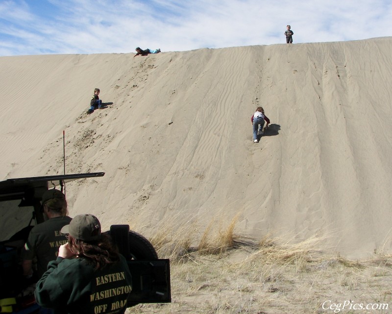 Juniper Dunes