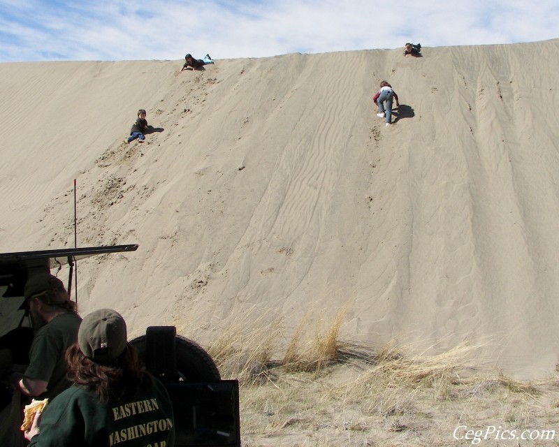 Juniper Dunes