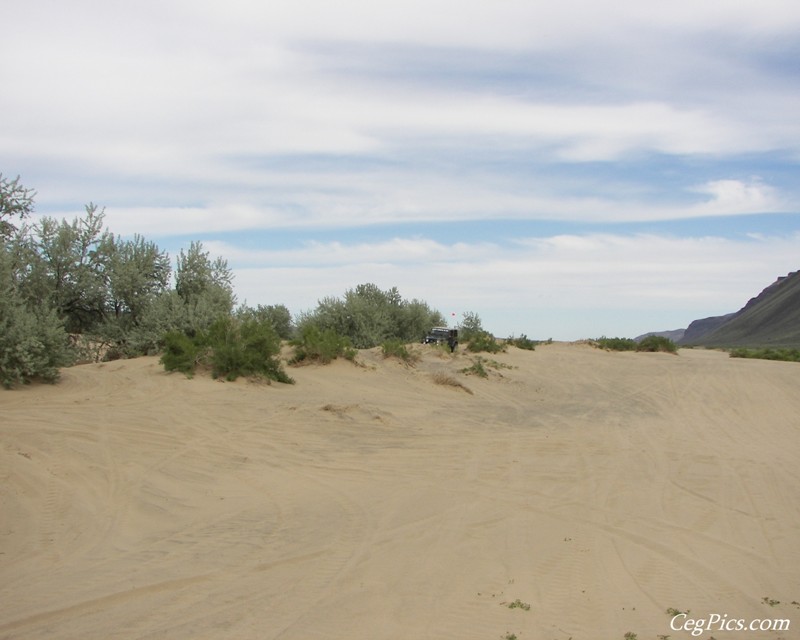 Beverly Dunes