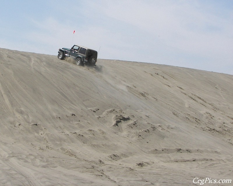 Juniper Dunes