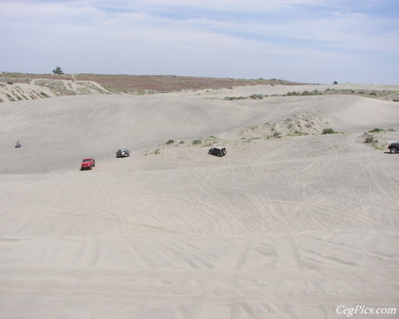 Juniper Dunes