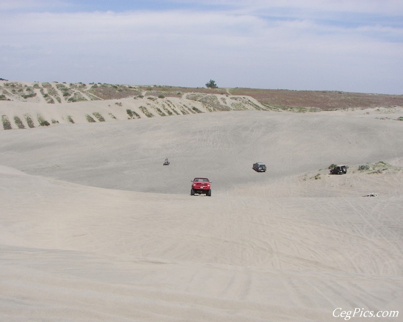 Juniper Dunes