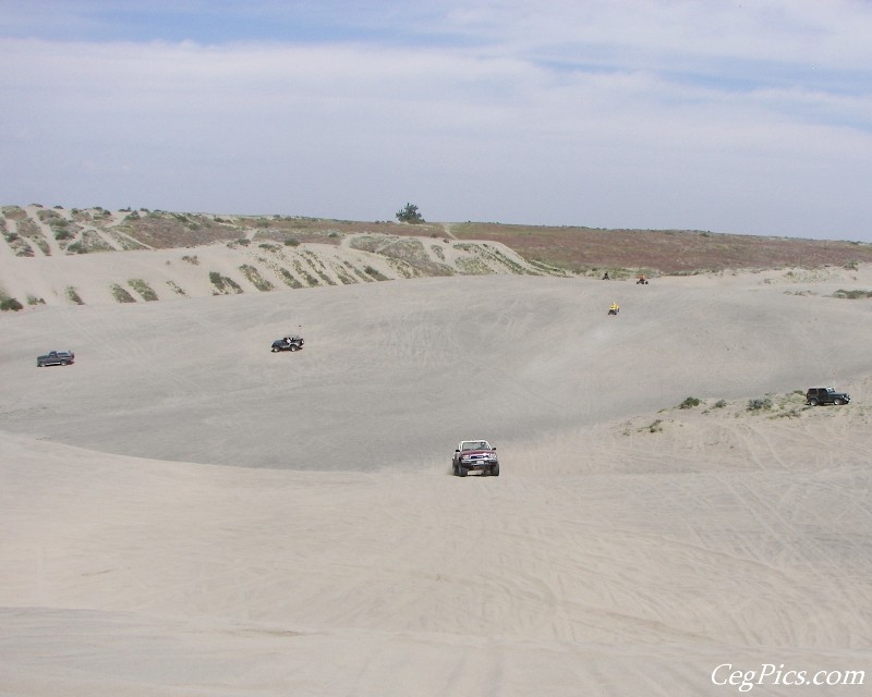 Juniper Dunes