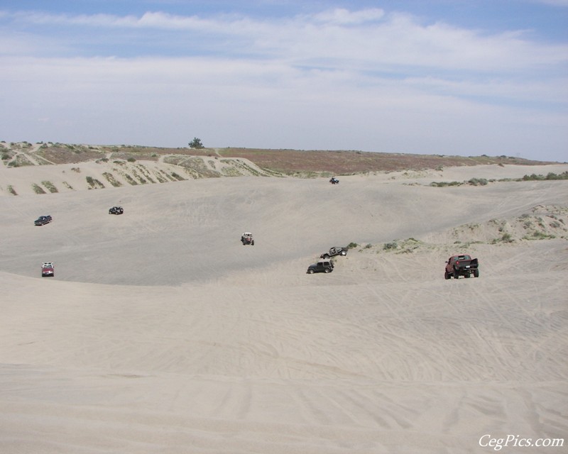 Juniper Dunes