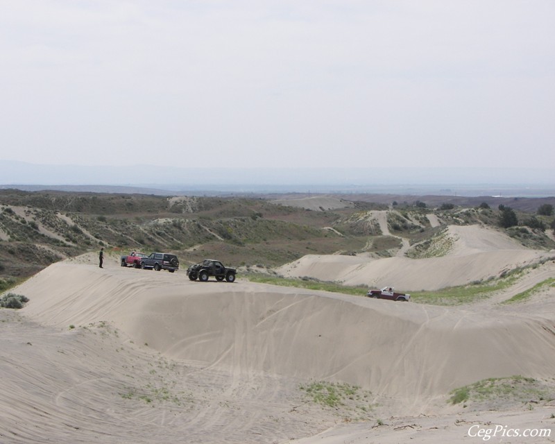 Juniper Dunes