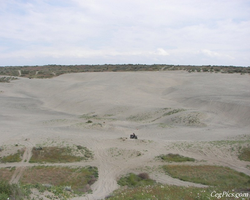 Juniper Dunes