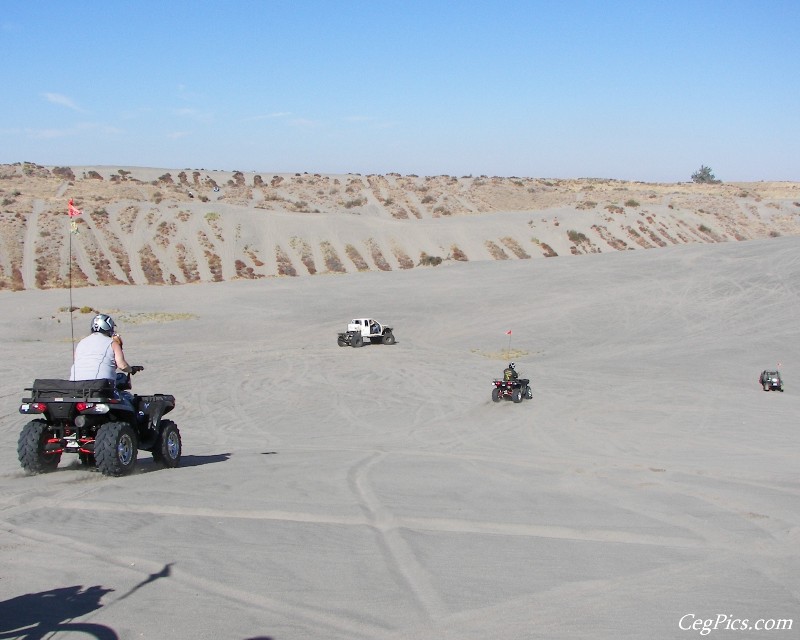 Juniper Dunes