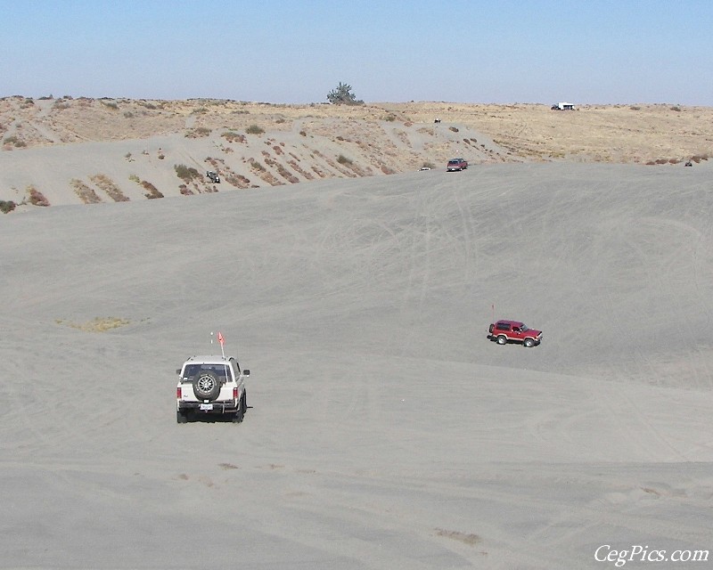 Juniper Dunes