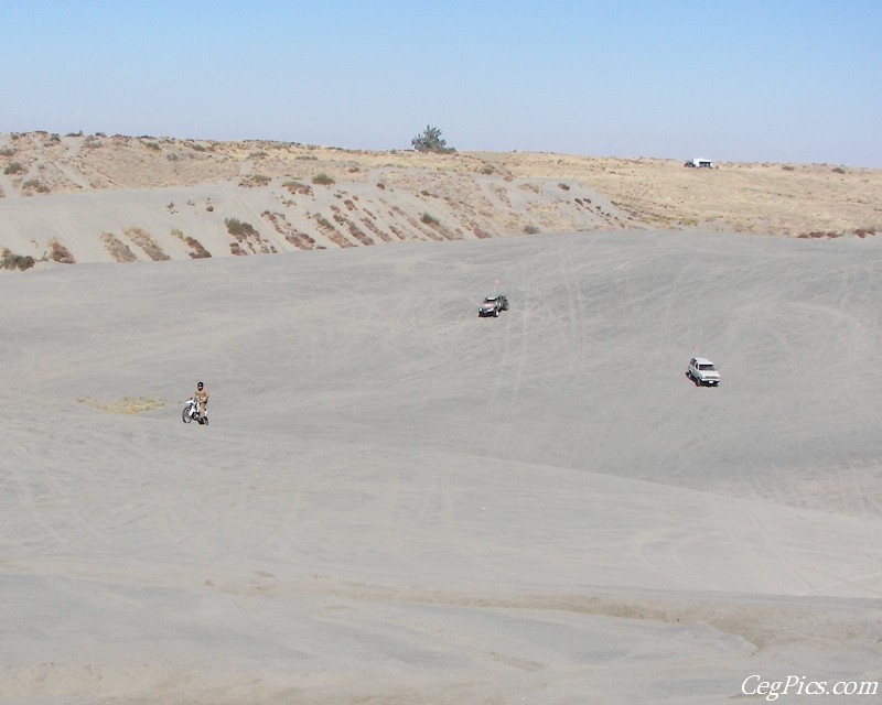 Juniper Dunes