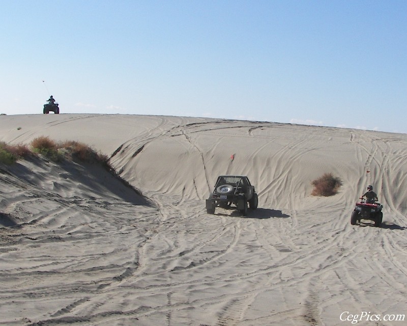 Juniper Dunes