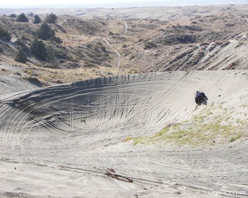 Juniper Dunes