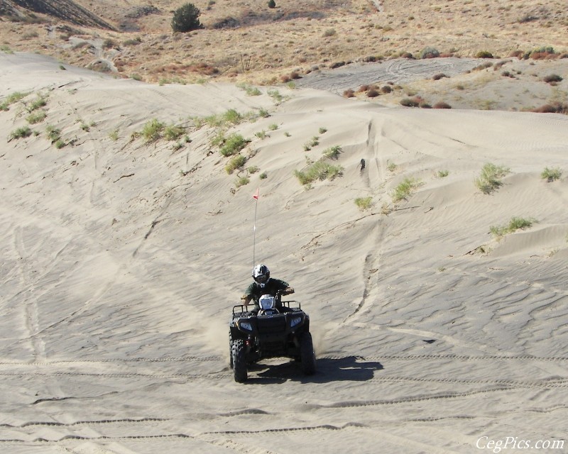 Juniper Dunes