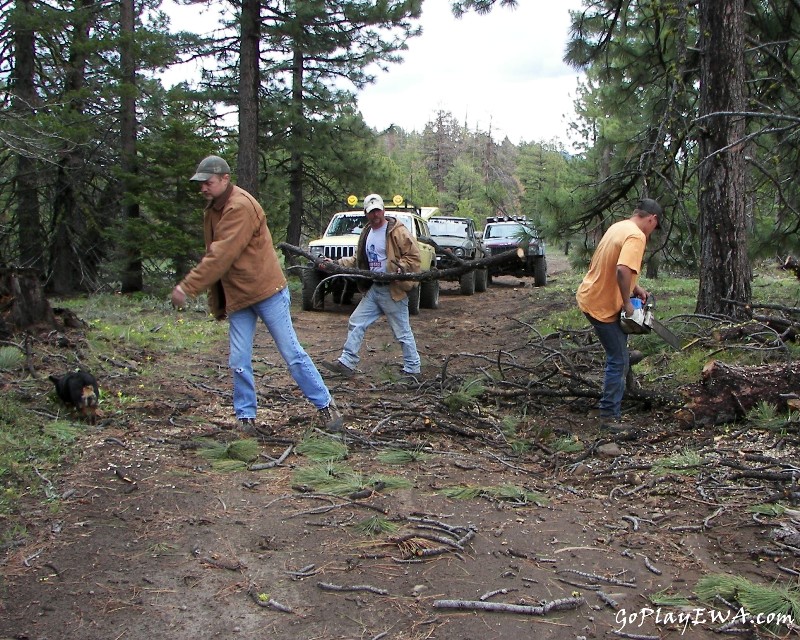 Ahtanum State Forest