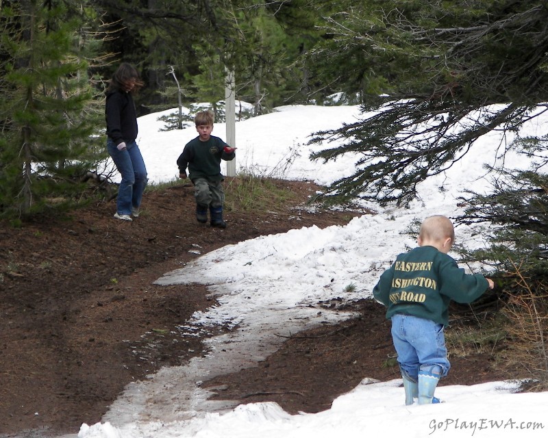 Ahtanum State Forest