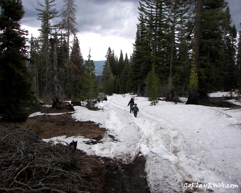 Ahtanum State Forest