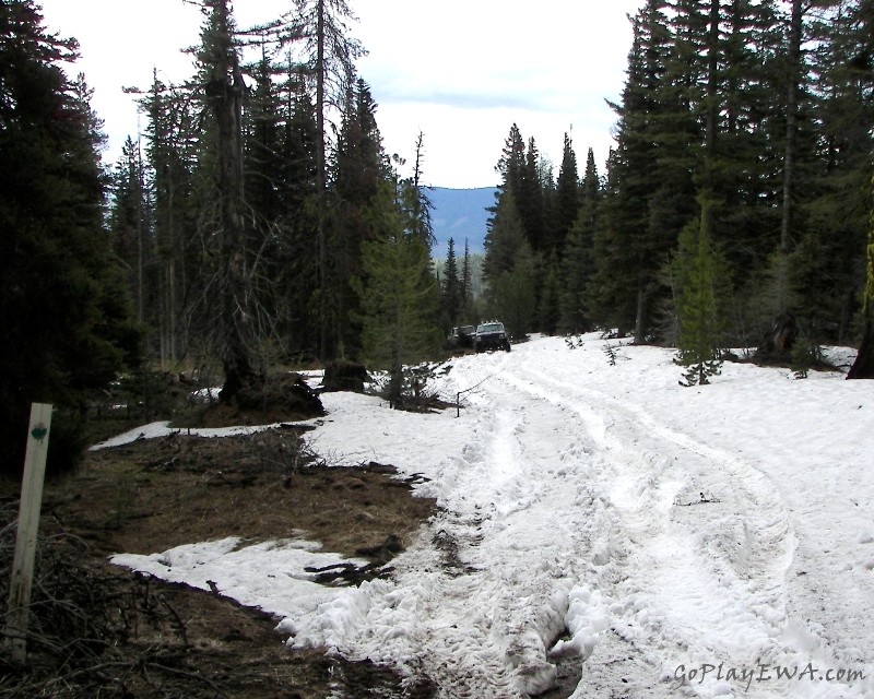 Ahtanum State Forest